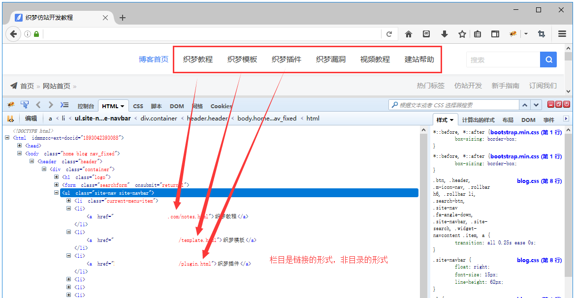 CMSROI模板网