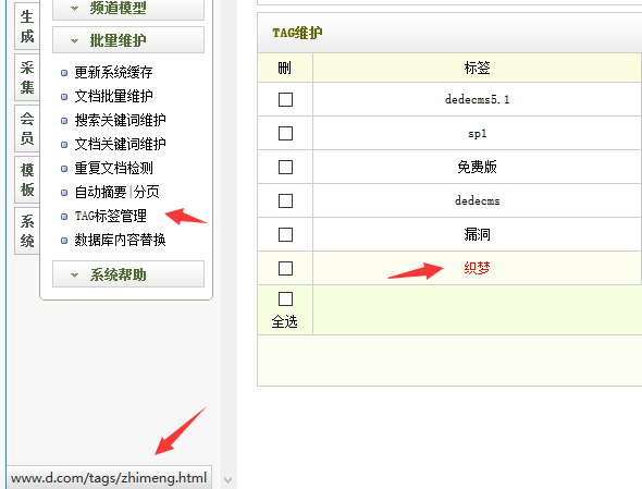 CMSROI模板网